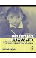 Persistent Inequality