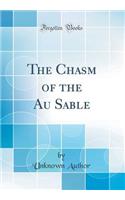 The Chasm of the Au Sable (Classic Reprint)