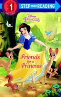 Friends for a Princess (Disney Princess)