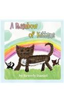 A Rainbow of Kittens