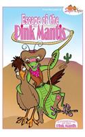 Adventures of the Pink Mantis