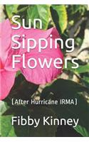 Sun Sipping Flowers