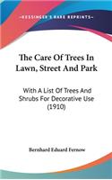 The Care Of Trees In Lawn, Street And Park