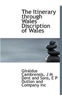 The Itinerary Through Wales Discription of Wales