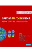 Human Herpesviruses: Biology, Therapy, and Immunoprophylaxis