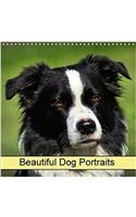 Beautiful Dog Portraits 2018