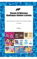 Chestie 20 Milestone Challenges