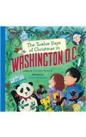 The Twelve Days of Christmas in Washington, D.C.