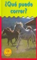 ¿qué Puede Correr?