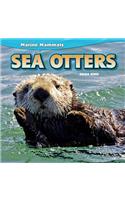 Sea Otters