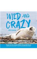 Wild and Crazy 2019 Wall Calendar