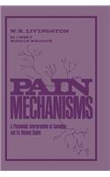 Pain Mechanisms