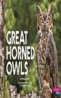 Great Horned Owls