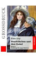 Nesthäkchen und ihre Enkel (Großdruck)