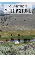 My Adventures in Yellowstone