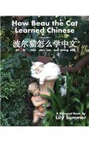 How Beau the Cat Learned Chinese