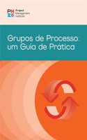 Process Groups: A Practice Guide (Brazilian Portuguese)