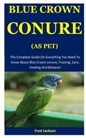 Blue Crown Conure As Pet
