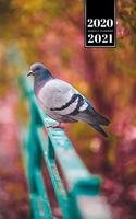 Pigeon Ornithology Bird Watching Birding Week Planner Weekly Organizer Calendar 2020 / 2021 - Autumn Time
