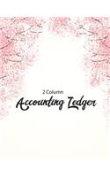 2 Column Accounting Ledger
