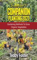 Beginners Guide to Companion Planting 2021