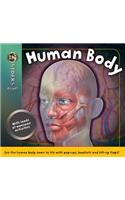 Insiders Alive Human Body