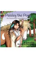 Paisley the Pony