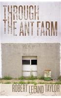 Through the Ant Farm
