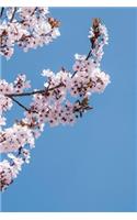 Pink Cherry Blossoms in the Blue Sky: 150 page lined 6 x 9 notebook/diary/journal