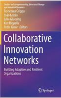 Collaborative Innovation Networks