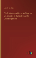 Pétrifications recueillies en Amérique, par Mr. Alexandre de Humboldt et par Mr. Charles Degenhardt