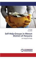 Self-Help-Groups in Mewat District of Haryana