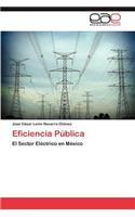 Eficiencia Pública