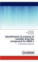 Identification & analysis of suitable drug like compound for NDM-1
