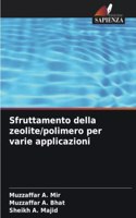Sfruttamento della zeolite/polimero per varie applicazioni