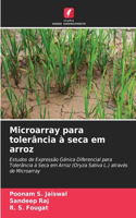 Microarray para tolerância à seca em arroz
