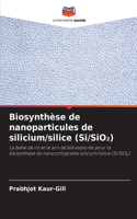Biosynthèse de nanoparticules de silicium/silice (Si/SiO₂)