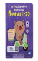 Navneet My First Board Book (Single Picture) Numbers 1 to 20- Bestselling Picture board books for Babies & Toddlers: Large Picture Board Book with Audio Number Sounds and Counting Songs