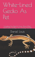 White-Lined Gecko As Pet: Everything You Need To Know About White-Lined Gecko, Feeding, Care, Housing And Diet