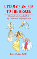 Team of Angels to the Rescue
