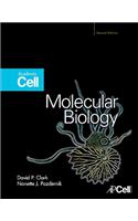 Molecular Biology