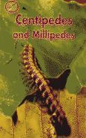 Centipedes and Millipedes