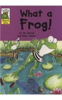 What a Frog!