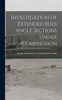 Investigation of Extended Bulb Angle Sections Under Compression