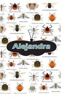 Alejandra: Bug Insect Journal Notebook 120 Pages 6x9