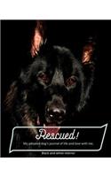 Rescued! My adopted dog's journal of life and love with me.