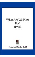What Are We Here For? (1901)