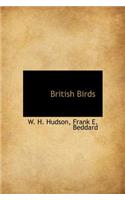 British Birds