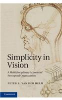 Simplicity in Vision