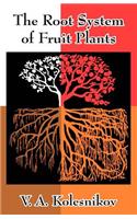 Root System of Fruit Plants
